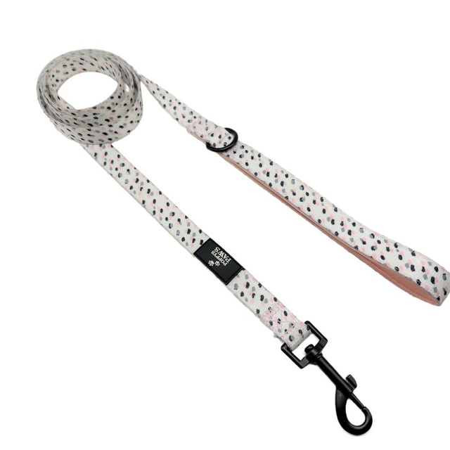 Design PVC Popular Pet Outdoor Leash Design Dog Harness Pet Leash