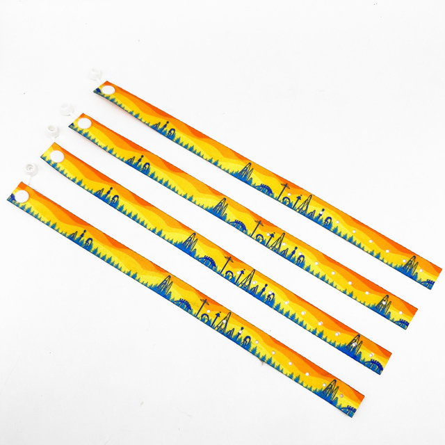 Plastic Key Lanyard Cy Express Delivery Polyester Disposable Mobile Wrist