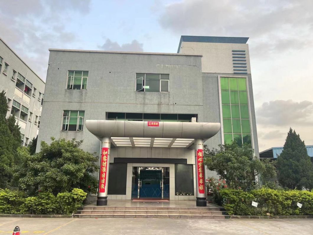 Heat Transfer Printing Mobile Phone Cy Express Delivery Custom Lanyard Accessories
